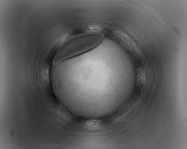 X0000116800700200912311936