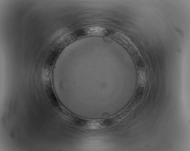 X0000116800701200912311936