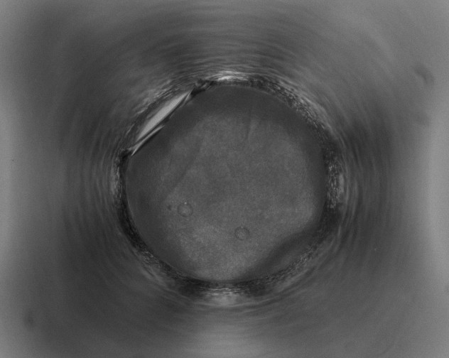 X0000116800704200912311936