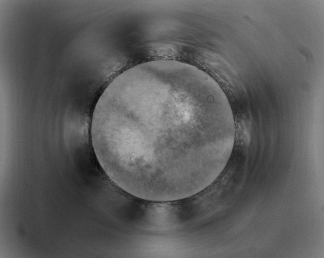 X0000116800717200912311936