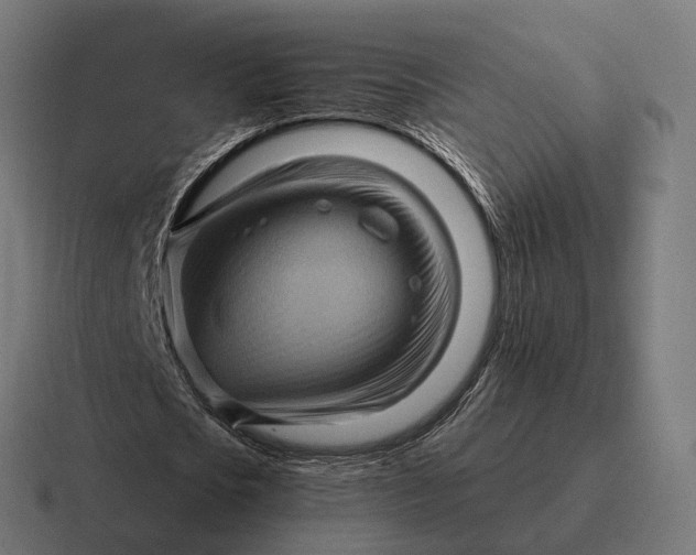 X0000116800721200912311935