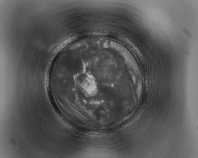 X0000116800725200912311935