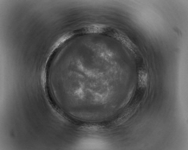 X0000116800726200912311935