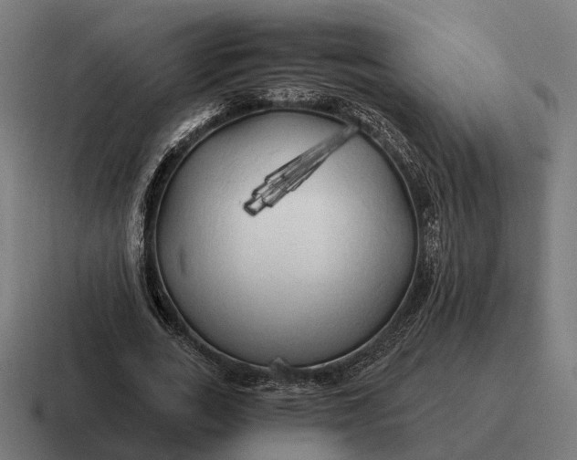 X0000116800727200912311935