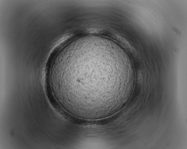 X0000116800730200912311936