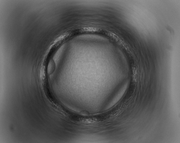 X0000116800731200912311936