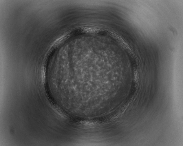 X0000116800733200912311936