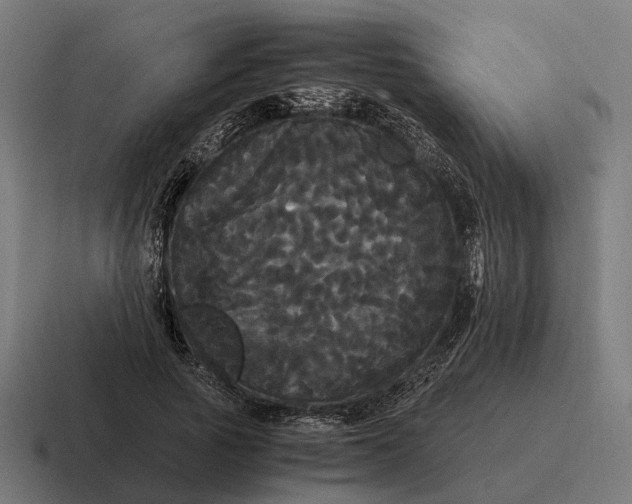 X0000116800737200912311936