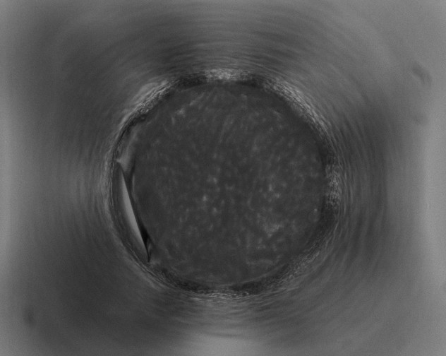 X0000116800738200912311936