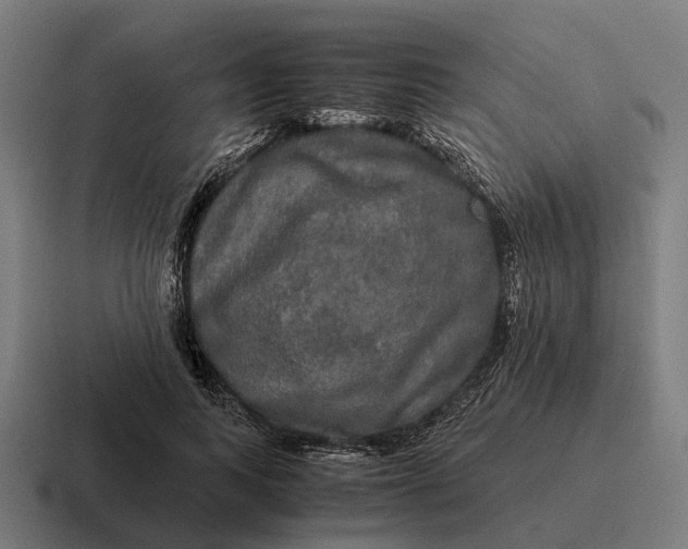 X0000116800743200912311936