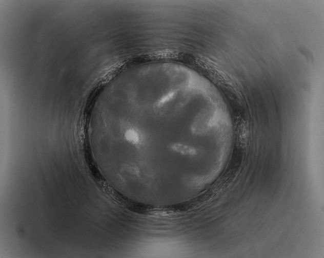 X0000116800746200912311936