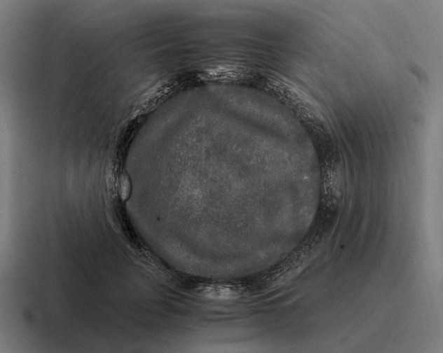 X0000116800751200912311936