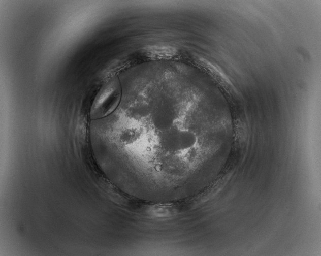 X0000116800761200912311936