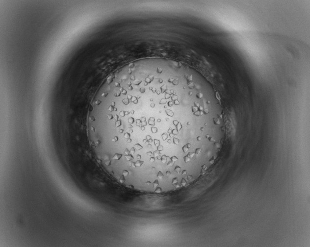 X0000116800766200912311936