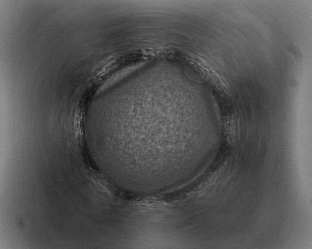 X0000116800770200912311935