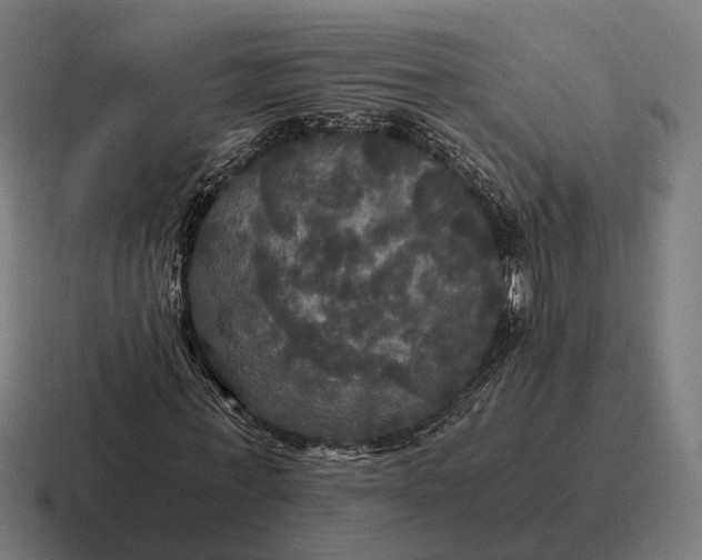 X0000116800771200912311935