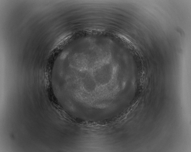 X0000116800774200912311935