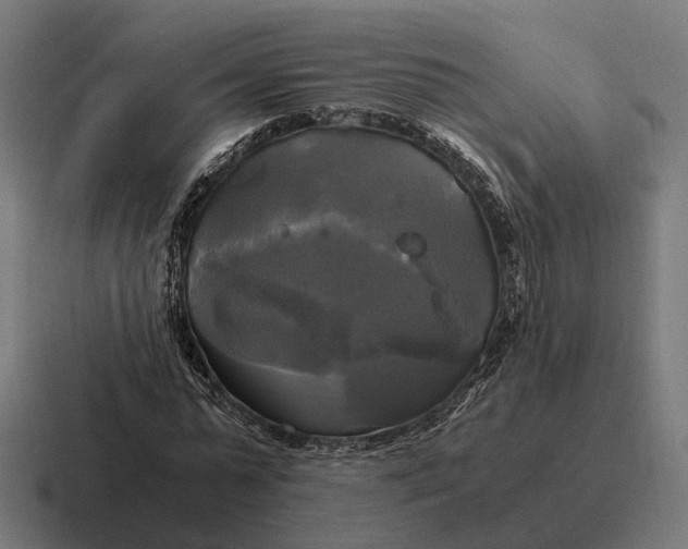 X0000116800775200912311935