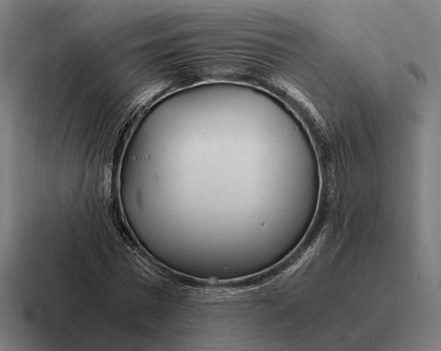 X0000116800777200912311935