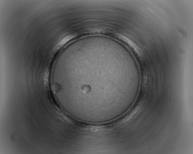 X0000116800778200912311935