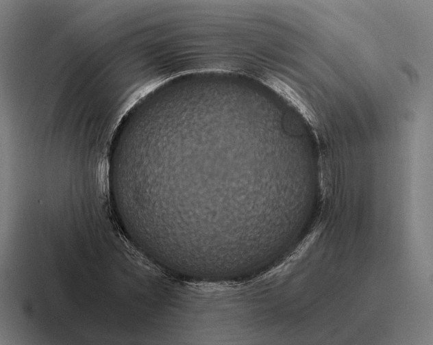 X0000116800781200912311935