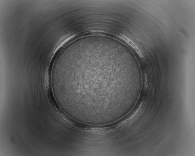 X0000116800782200912311935