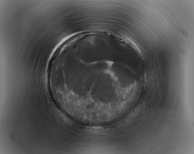 X0000116800784200912311935