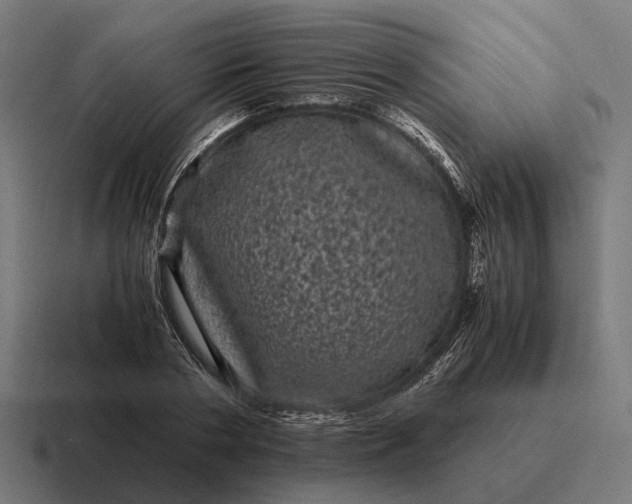 X0000116800786200912311935