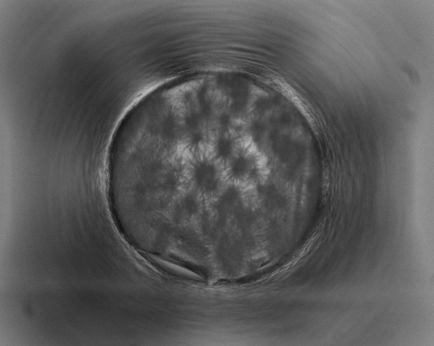 X0000116800787200912311935