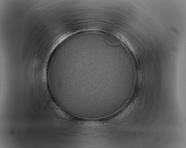 X0000116800789200912311935