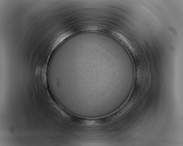 X0000116800794200912311935