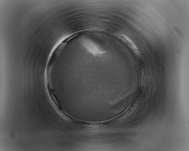 X0000116800796200912311935