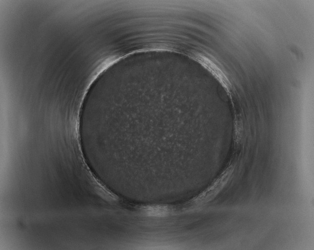 X0000116800797200912311935