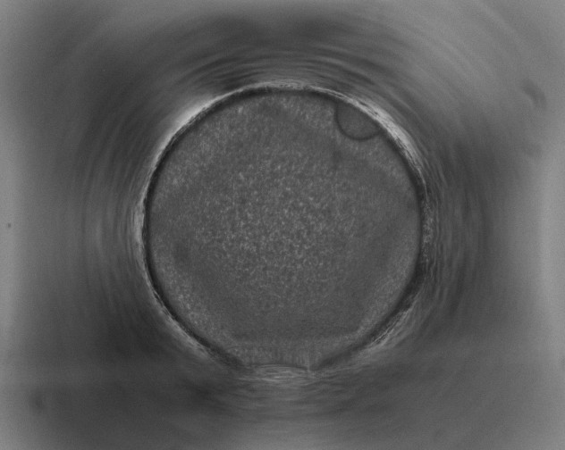 X0000116800799200912311935