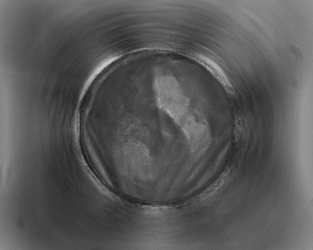 X0000116800804200912311935