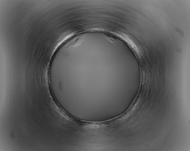 X0000116800806200912311935