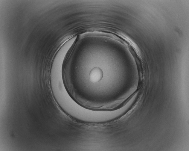 X0000116800809200912311935