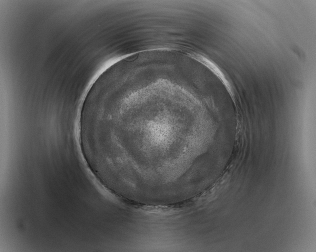 X0000116800811200912311935