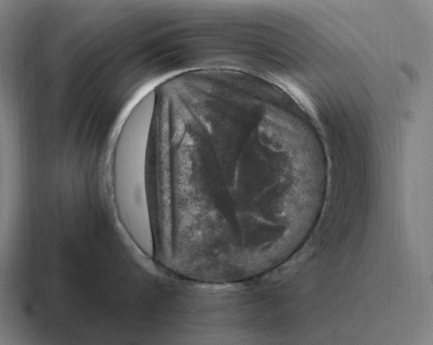 X0000116800816200912311935