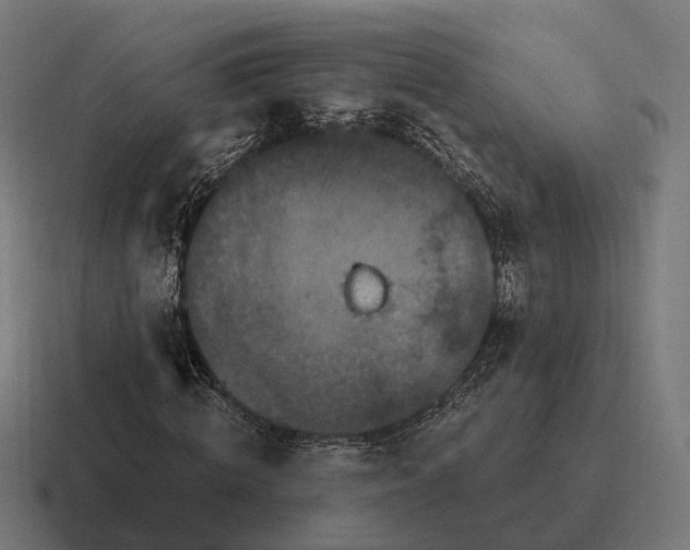 X0000116800820200912311934