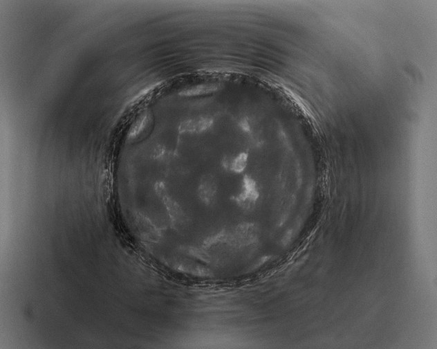 X0000116800821200912311934