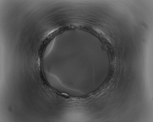 X0000116800822200912311934