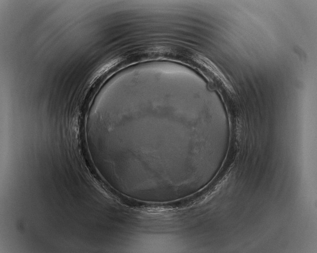 X0000116800826200912311934