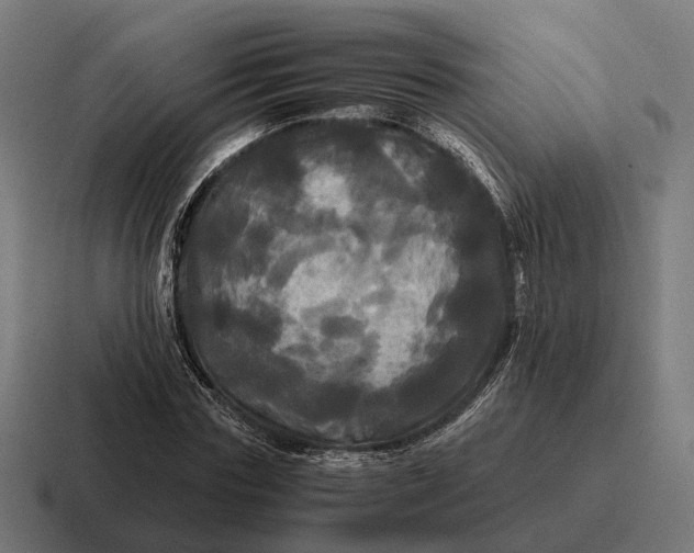 X0000116800827200912311934