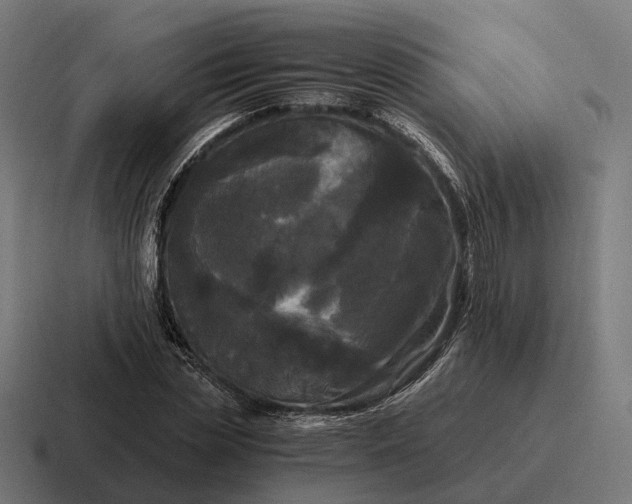 X0000116800829200912311934