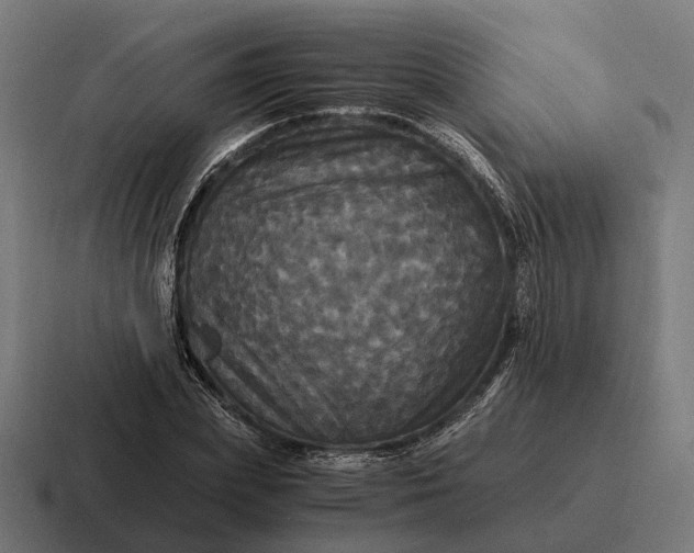 X0000116800831200912311934