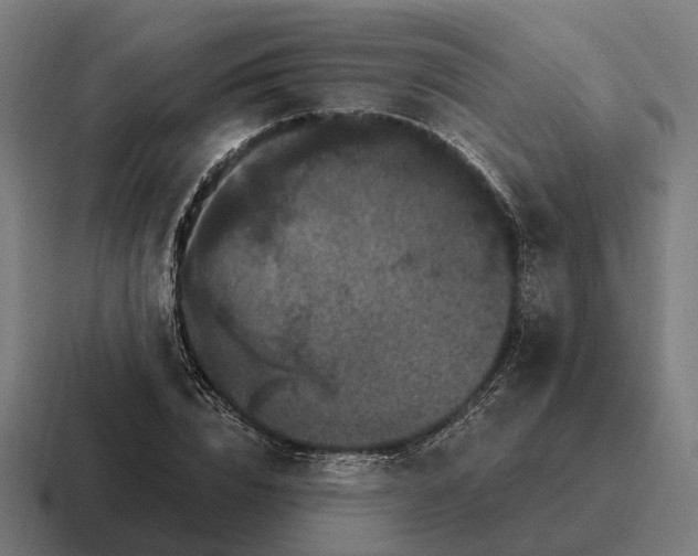 X0000116800832200912311934