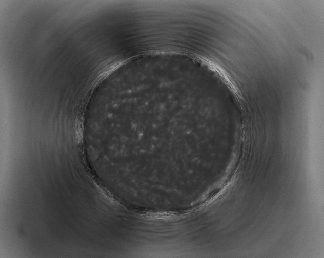 X0000116800833200912311934