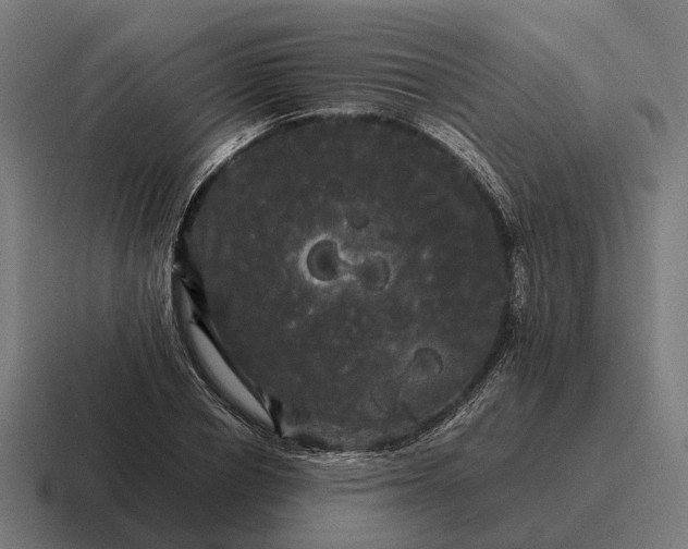 X0000116800834200912311934