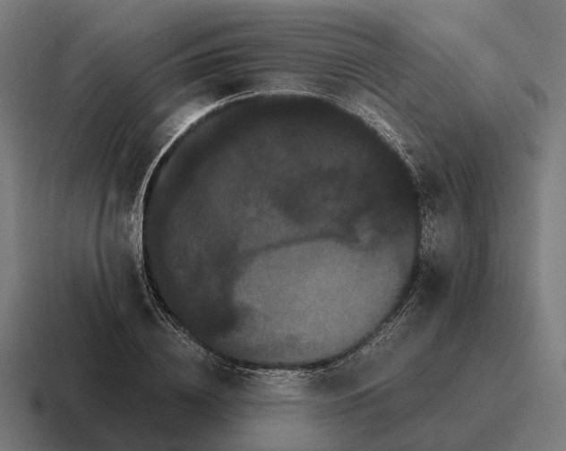 X0000116800836200912311934